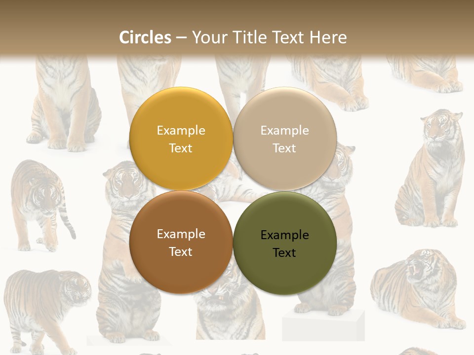 Feline Majestic Tiger PowerPoint Template