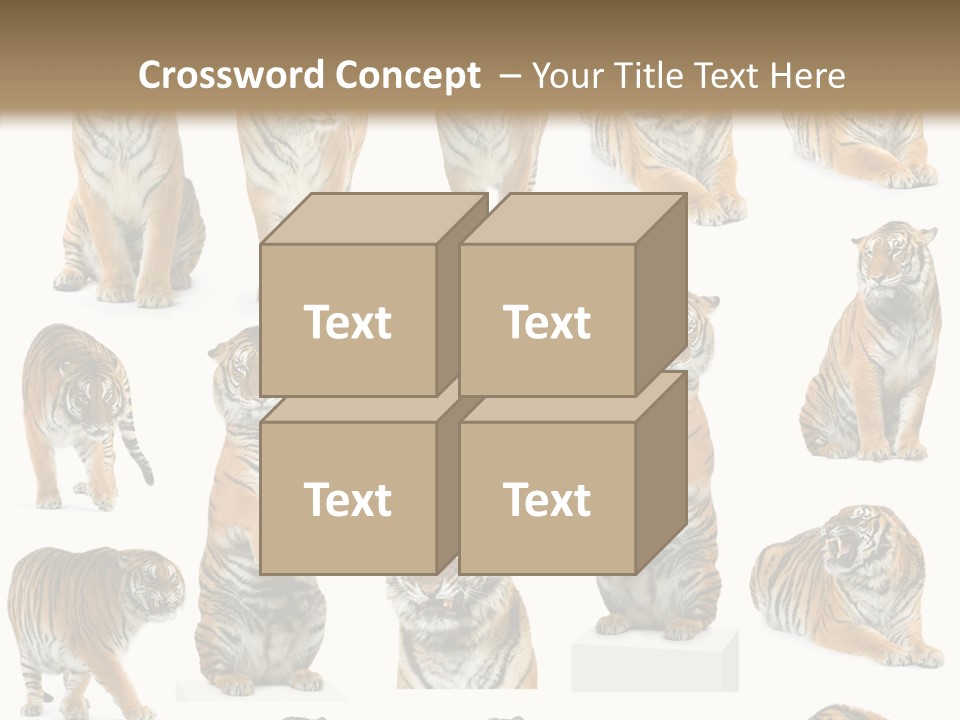 Feline Majestic Tiger PowerPoint Template