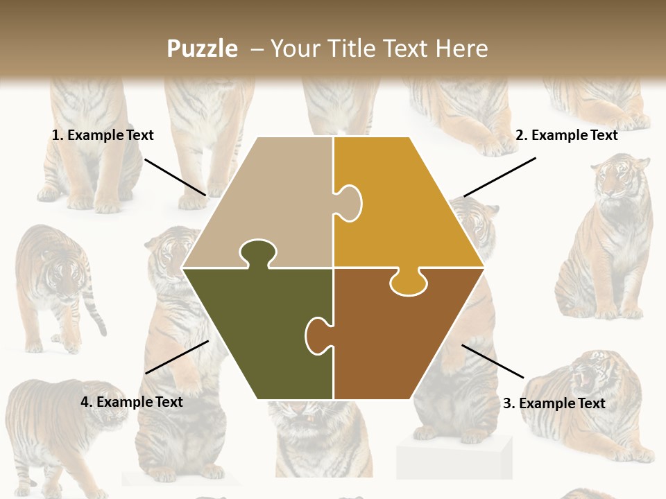 Feline Majestic Tiger PowerPoint Template