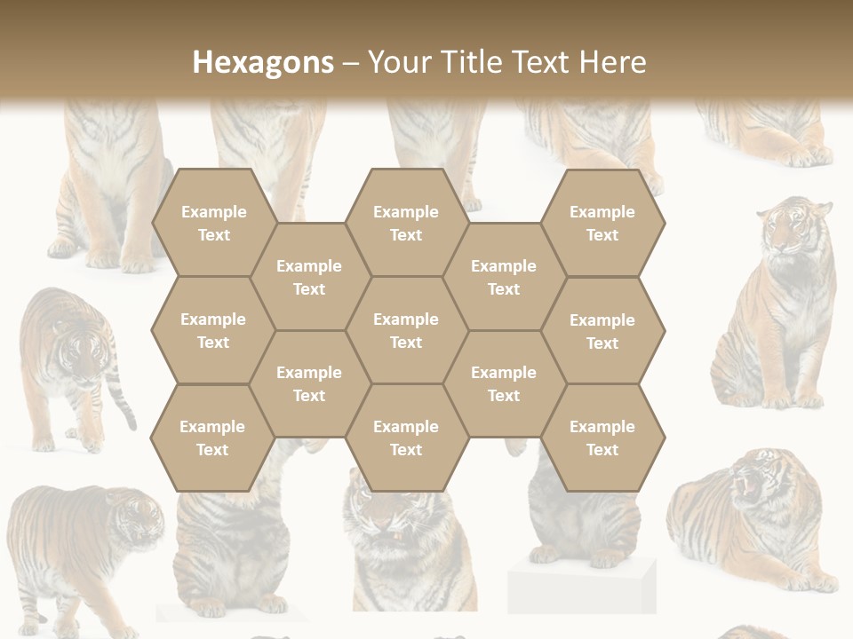 Feline Majestic Tiger PowerPoint Template