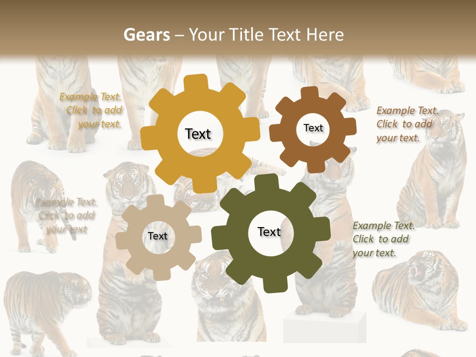 Feline Majestic Tiger PowerPoint Template