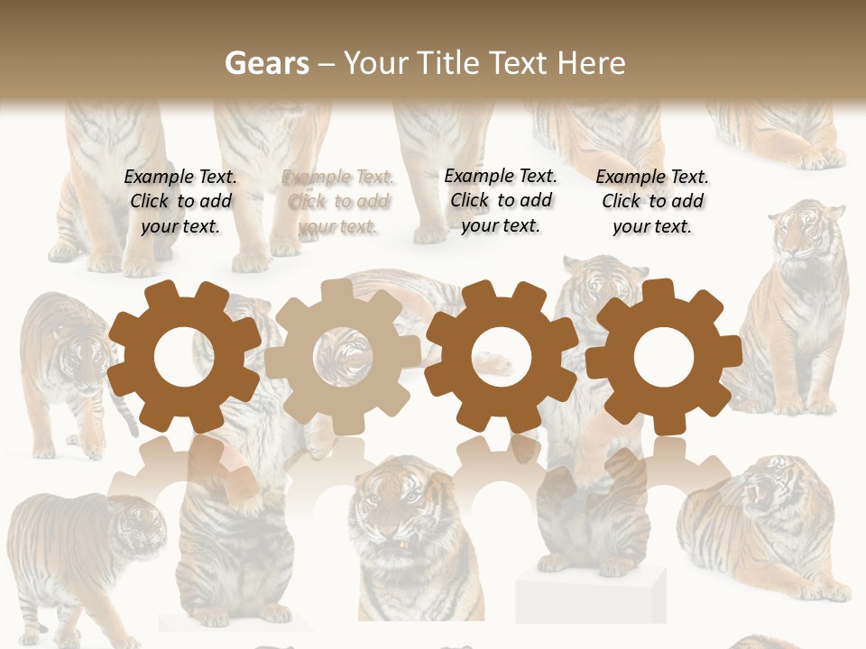 Feline Majestic Tiger PowerPoint Template