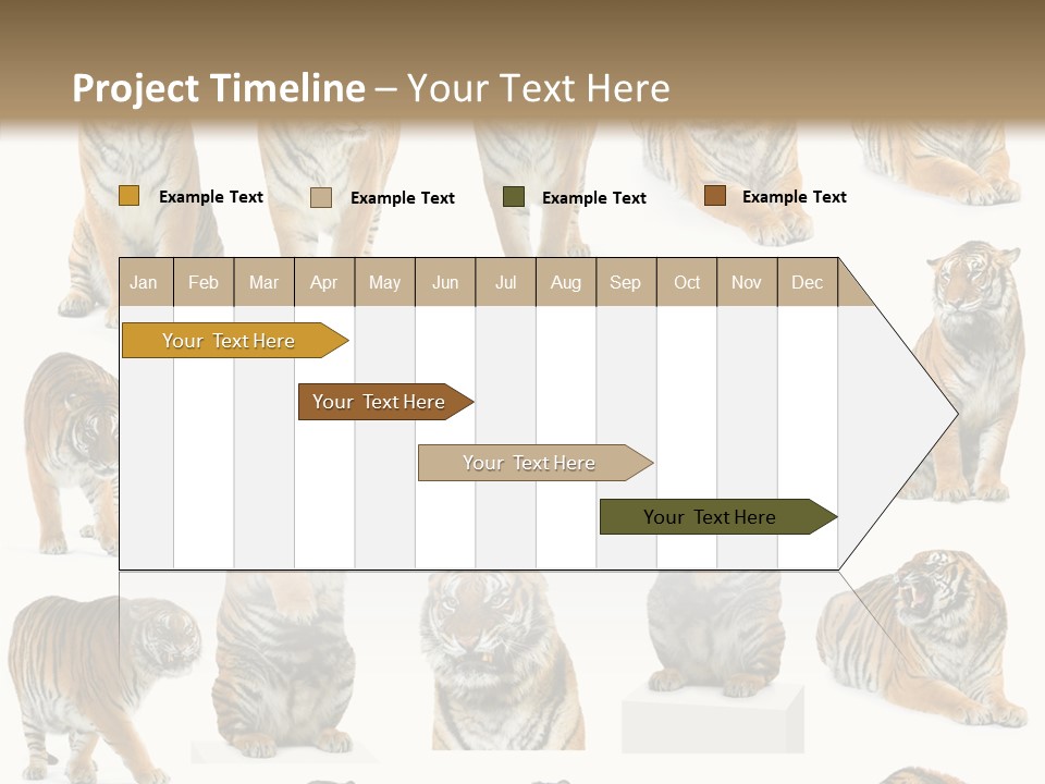 Feline Majestic Tiger PowerPoint Template