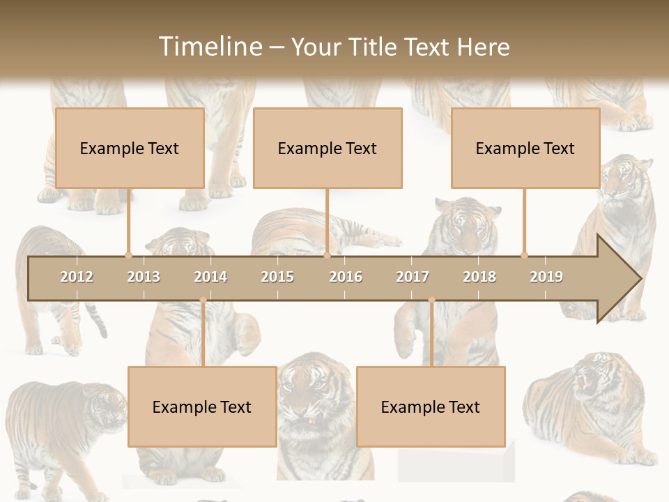 Feline Majestic Tiger PowerPoint Template