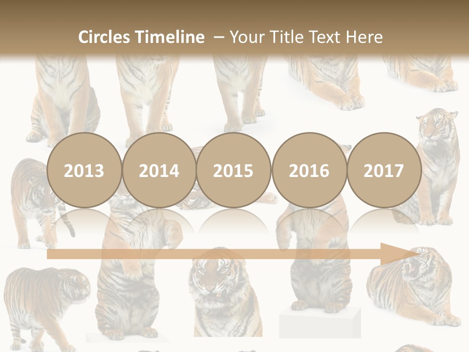 Feline Majestic Tiger PowerPoint Template