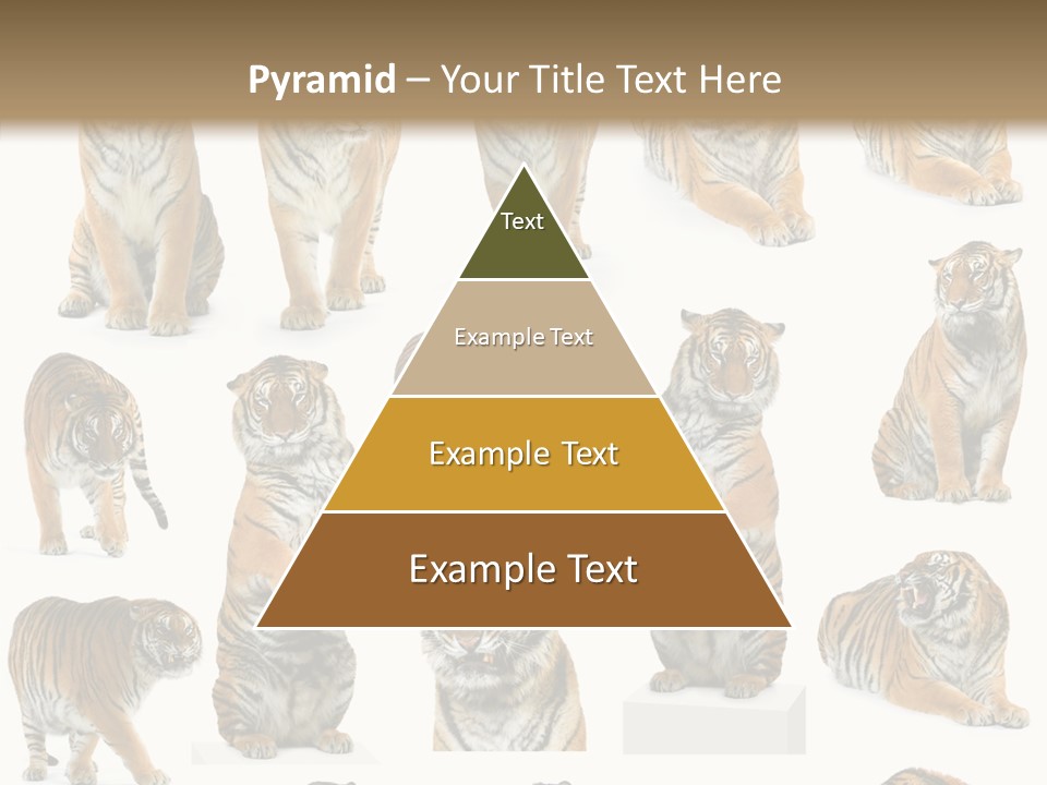 Feline Majestic Tiger PowerPoint Template