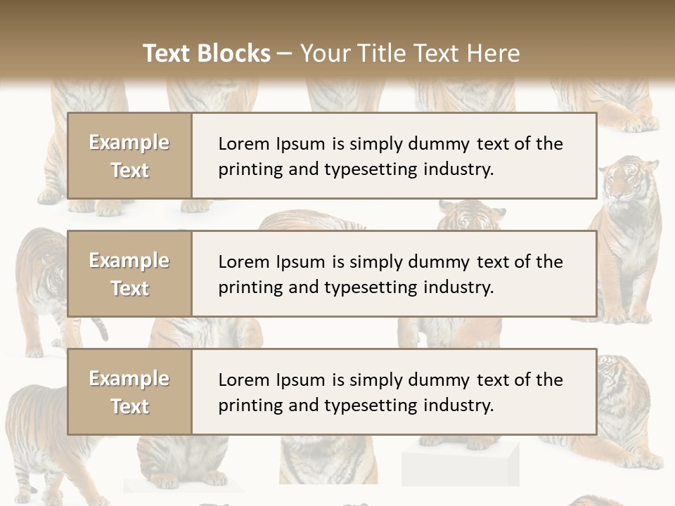 Feline Majestic Tiger PowerPoint Template