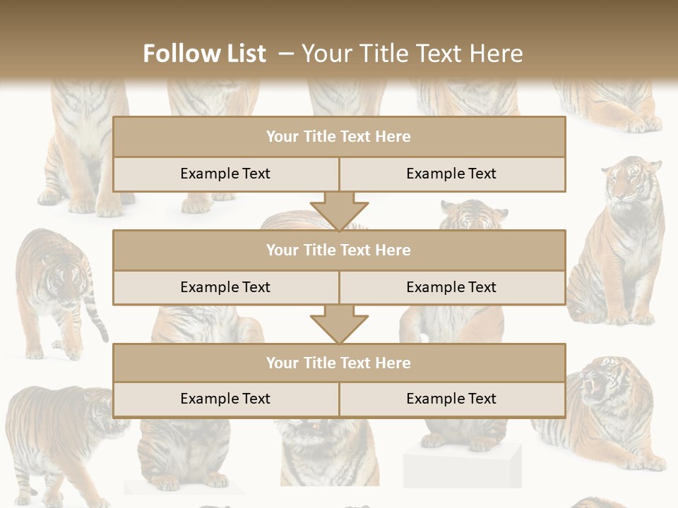 Feline Majestic Tiger PowerPoint Template