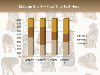 Feline Majestic Tiger PowerPoint Template