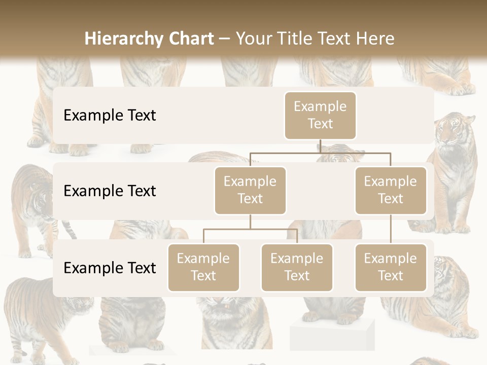 Feline Majestic Tiger PowerPoint Template