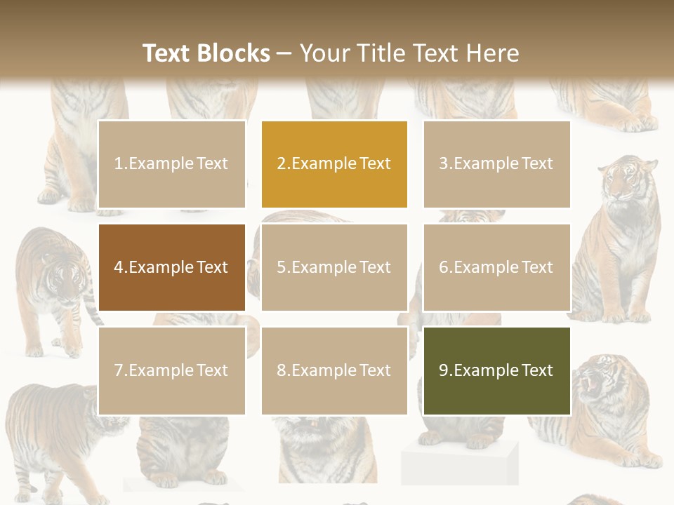 Feline Majestic Tiger PowerPoint Template