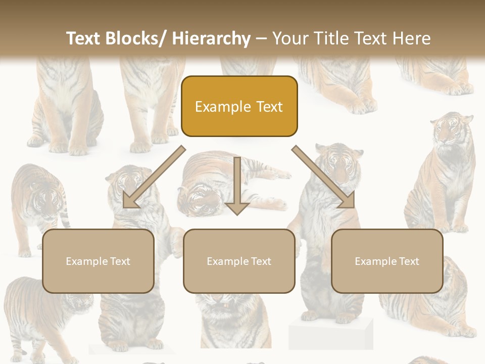 Feline Majestic Tiger PowerPoint Template