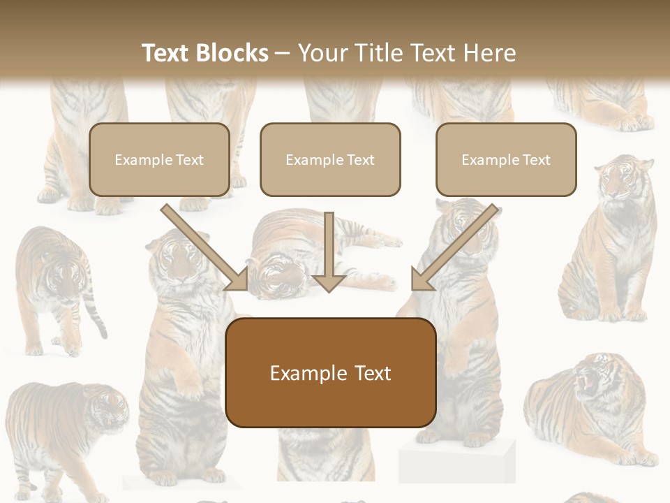 Feline Majestic Tiger PowerPoint Template