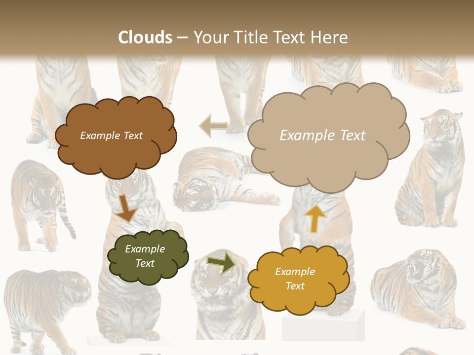 Feline Majestic Tiger PowerPoint Template