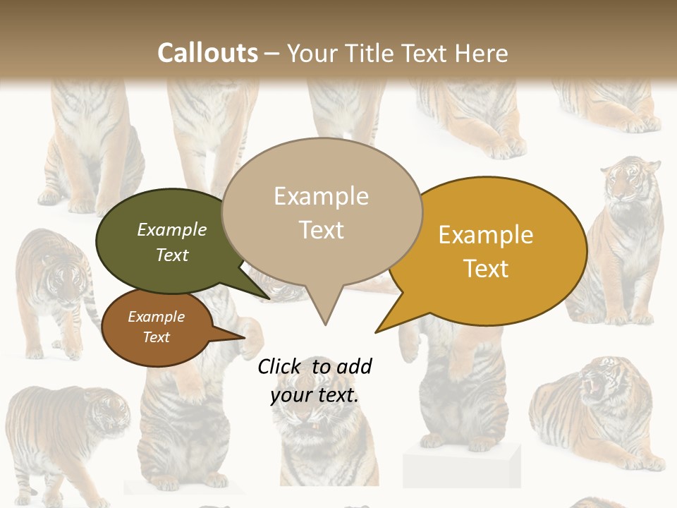 Feline Majestic Tiger PowerPoint Template