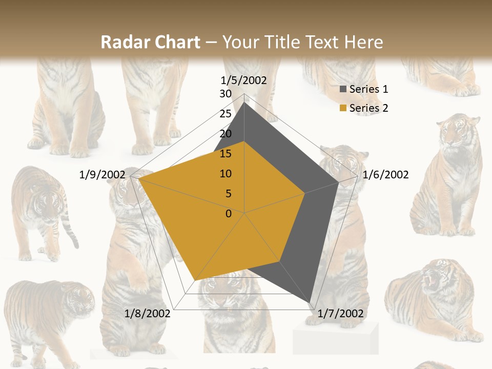 Feline Majestic Tiger PowerPoint Template