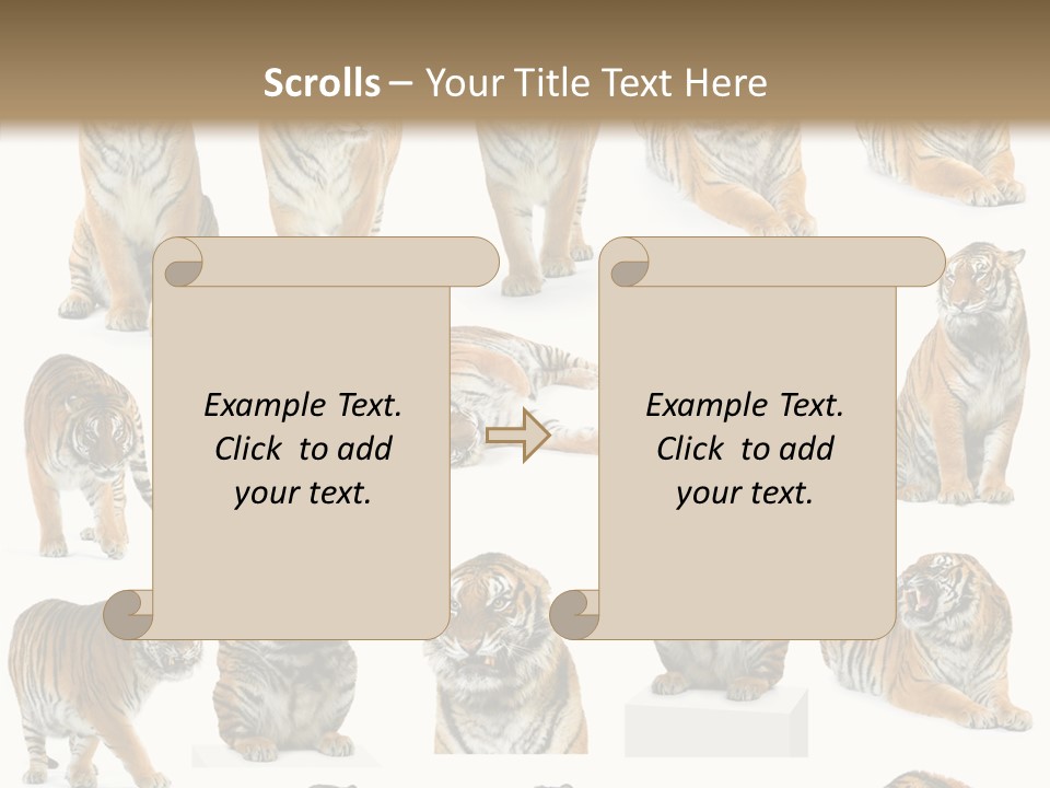 Feline Majestic Tiger PowerPoint Template
