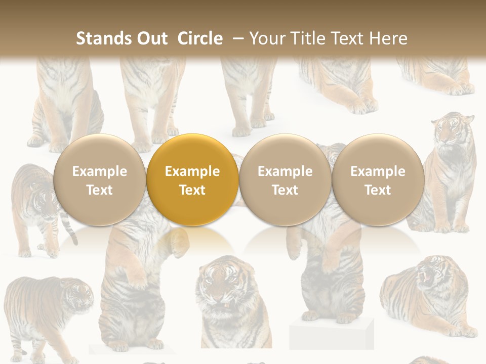 Feline Majestic Tiger PowerPoint Template