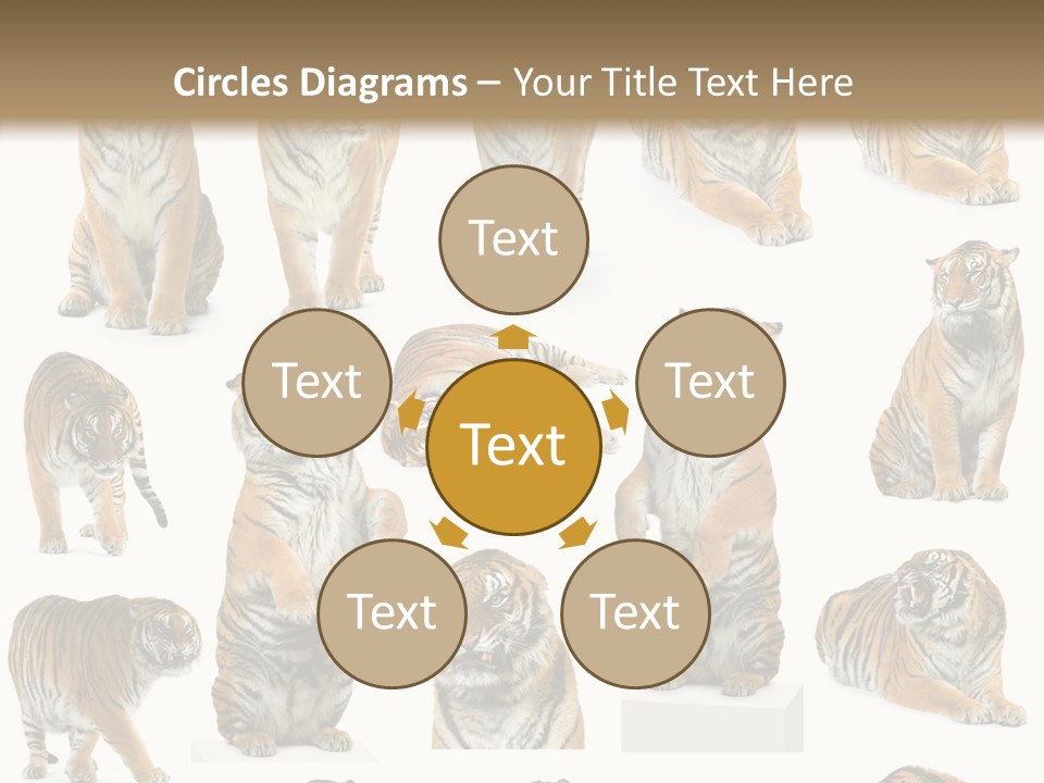 Feline Majestic Tiger PowerPoint Template