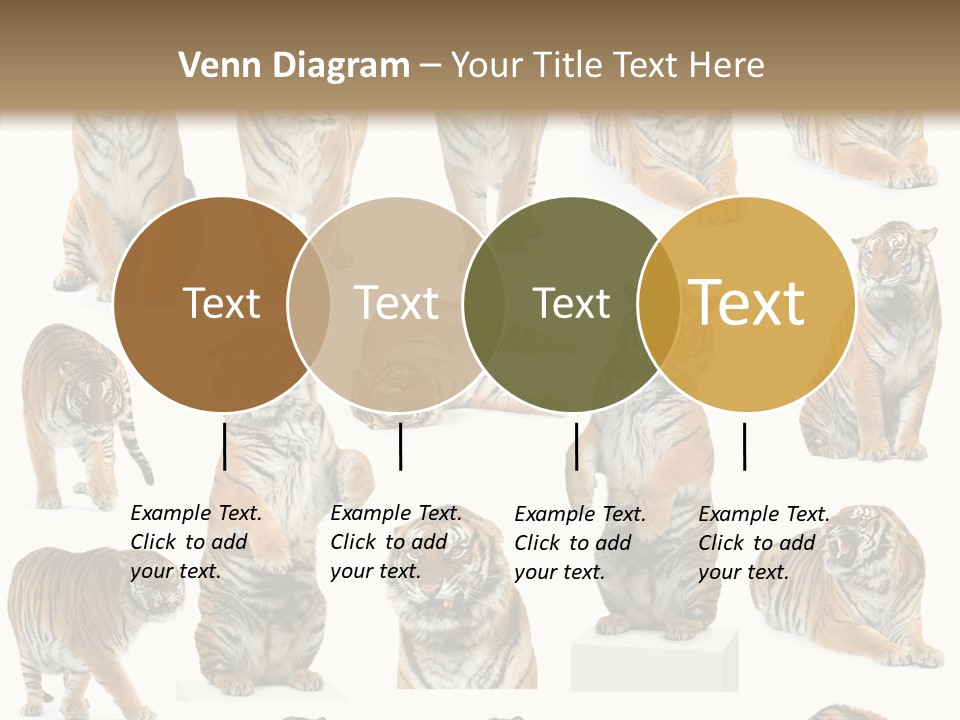 Feline Majestic Tiger PowerPoint Template