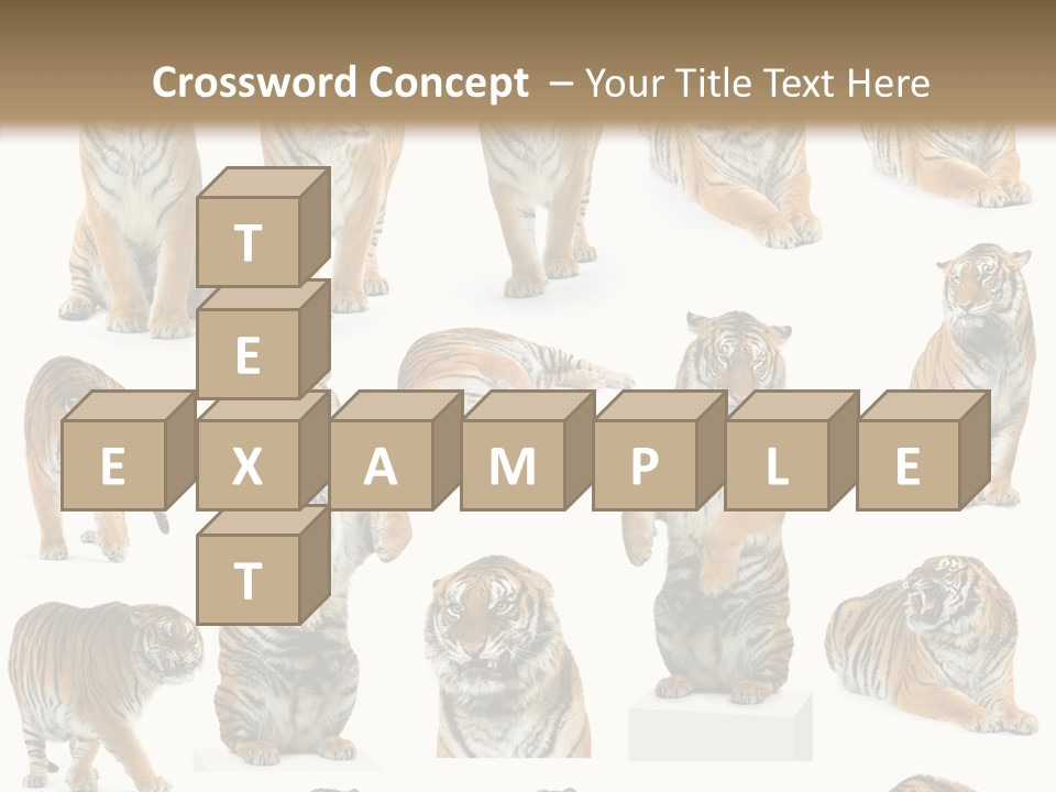 Feline Majestic Tiger PowerPoint Template