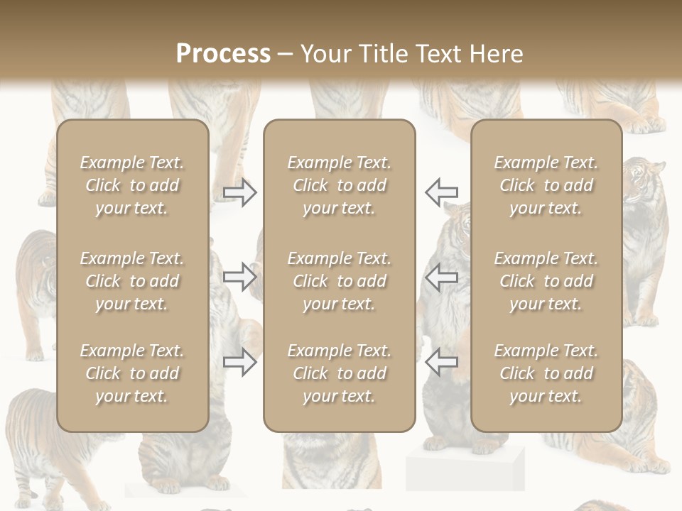 Feline Majestic Tiger PowerPoint Template
