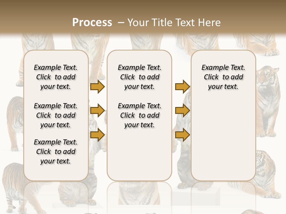 Feline Majestic Tiger PowerPoint Template