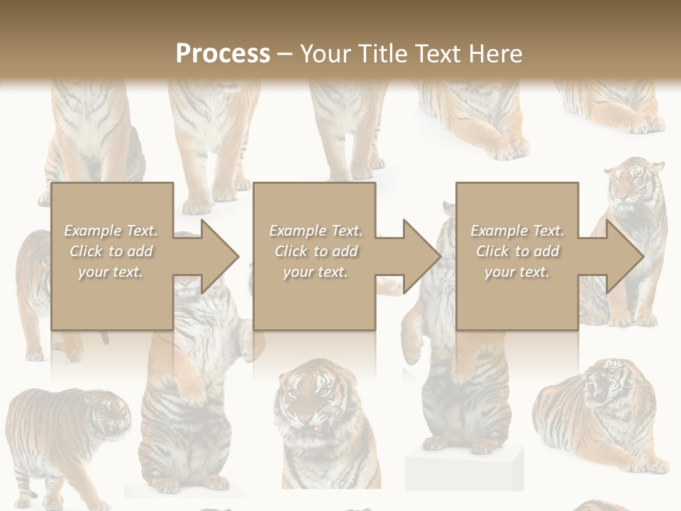 Feline Majestic Tiger PowerPoint Template