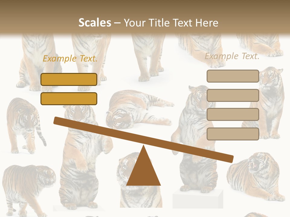 Feline Majestic Tiger PowerPoint Template