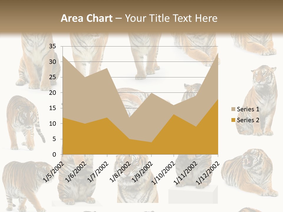 Feline Majestic Tiger PowerPoint Template