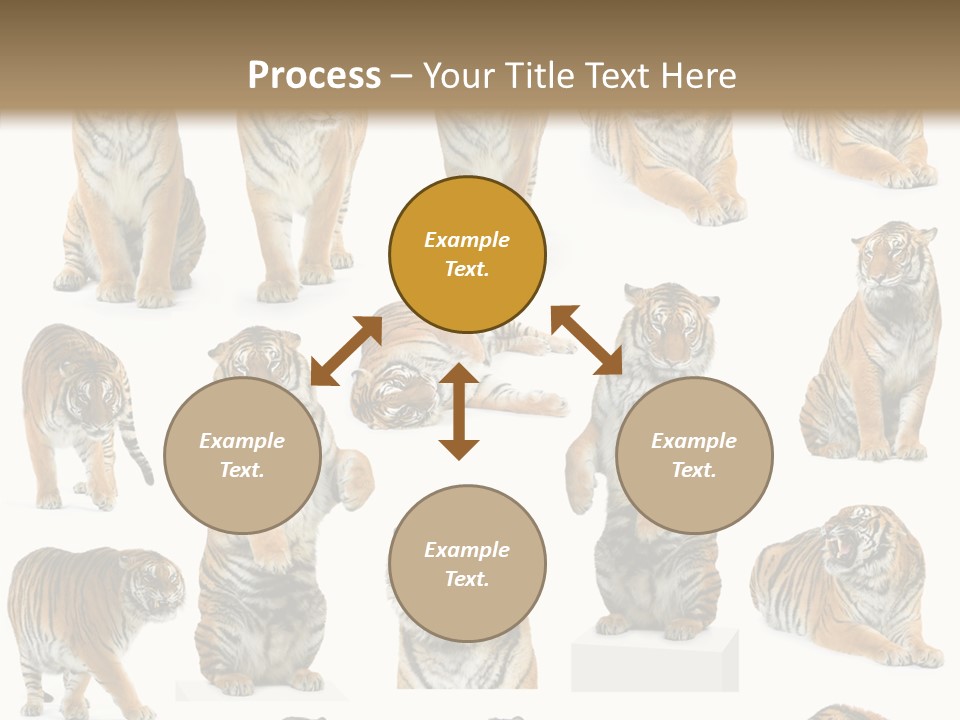 Feline Majestic Tiger PowerPoint Template