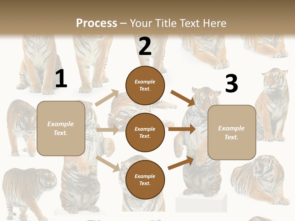 Feline Majestic Tiger PowerPoint Template