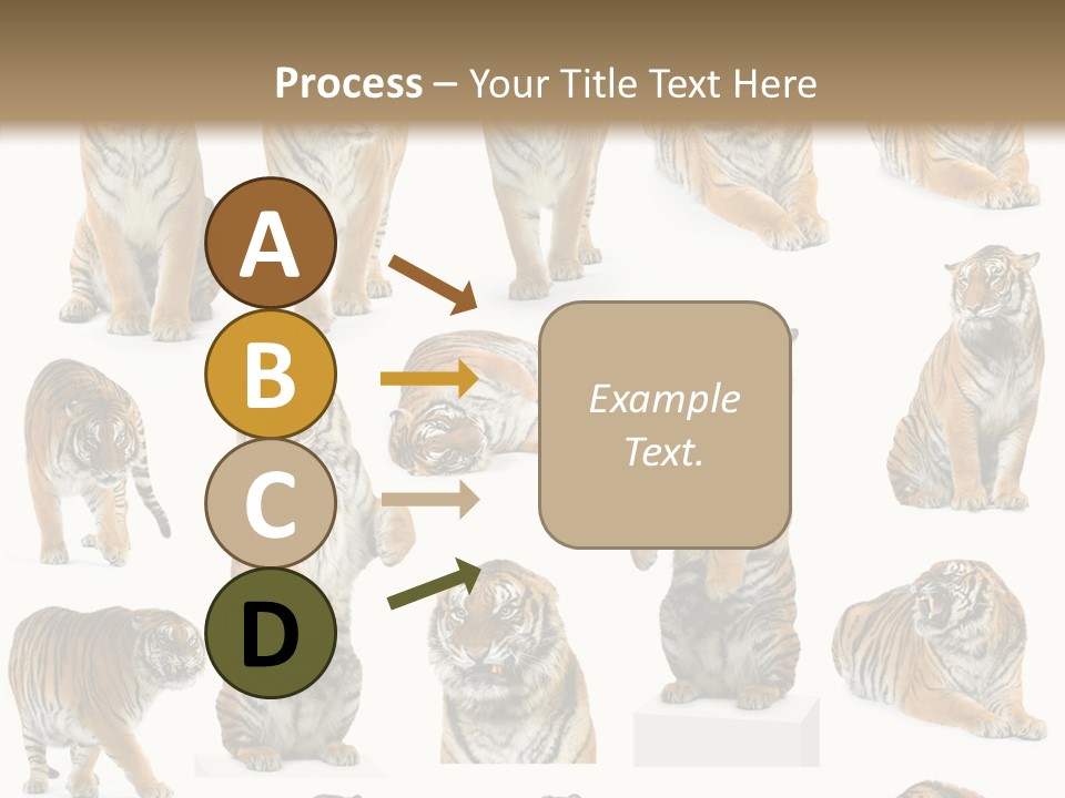 Feline Majestic Tiger PowerPoint Template