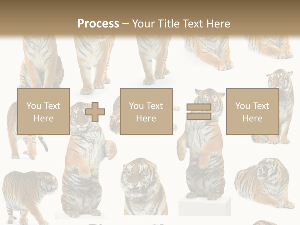 Feline Majestic Tiger PowerPoint Template