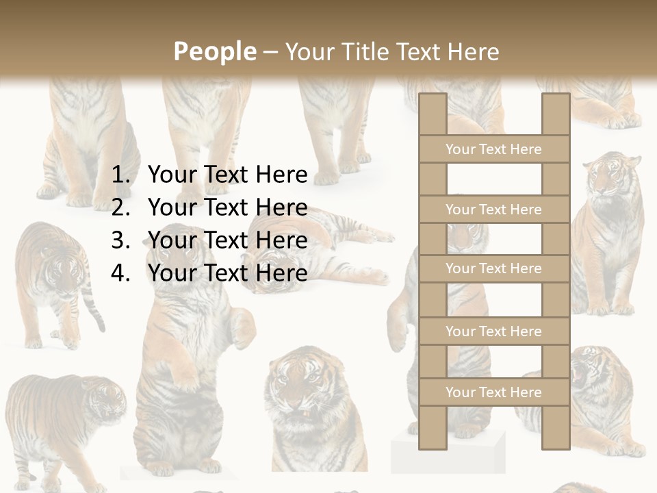 Feline Majestic Tiger PowerPoint Template