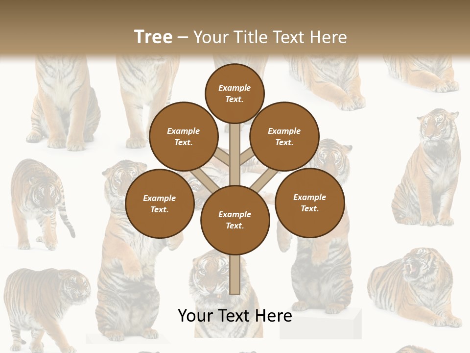 Feline Majestic Tiger PowerPoint Template