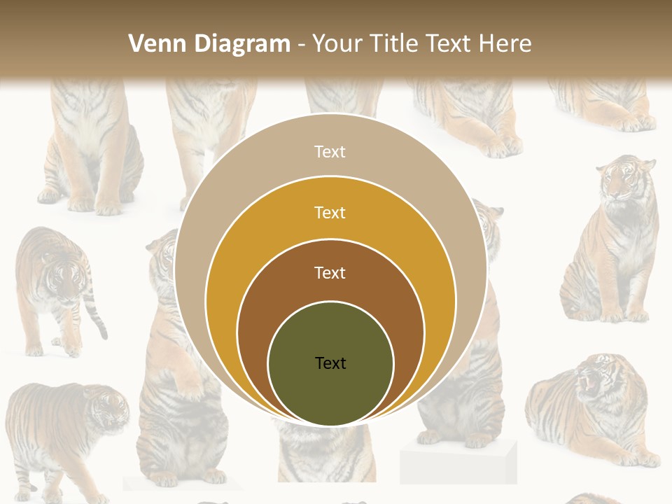 Feline Majestic Tiger PowerPoint Template
