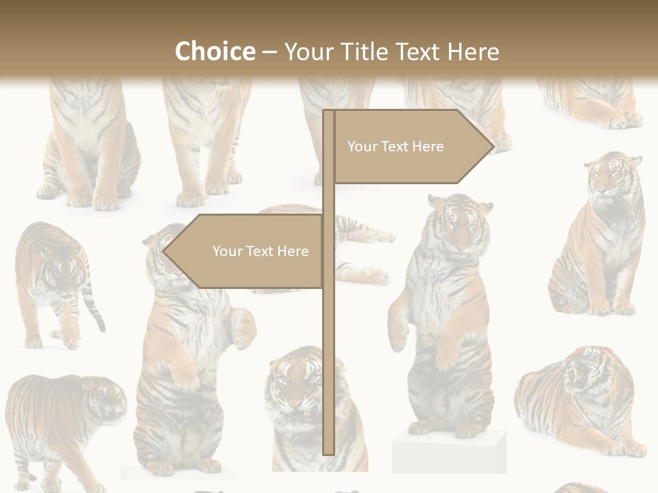 Feline Majestic Tiger PowerPoint Template