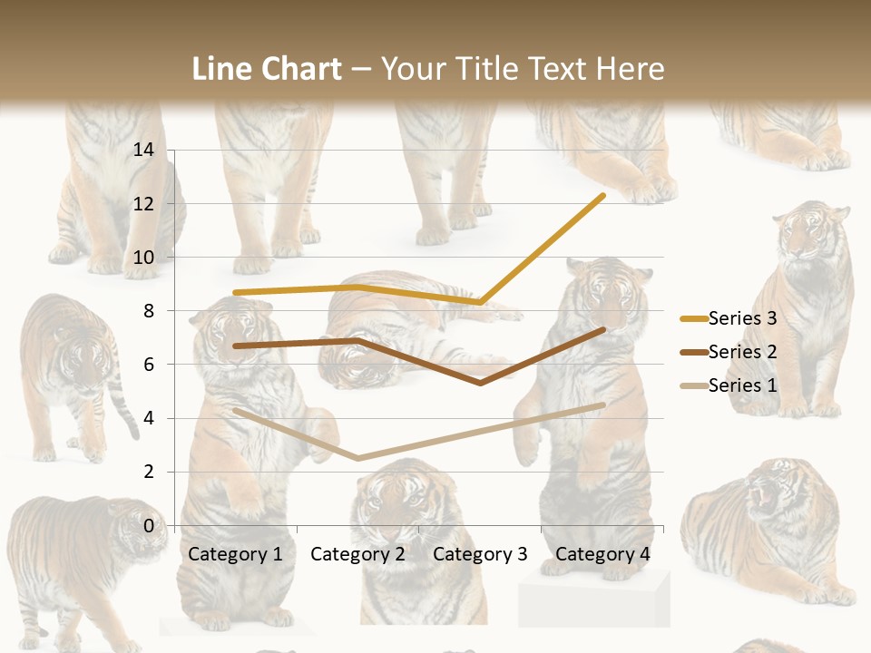 Feline Majestic Tiger PowerPoint Template