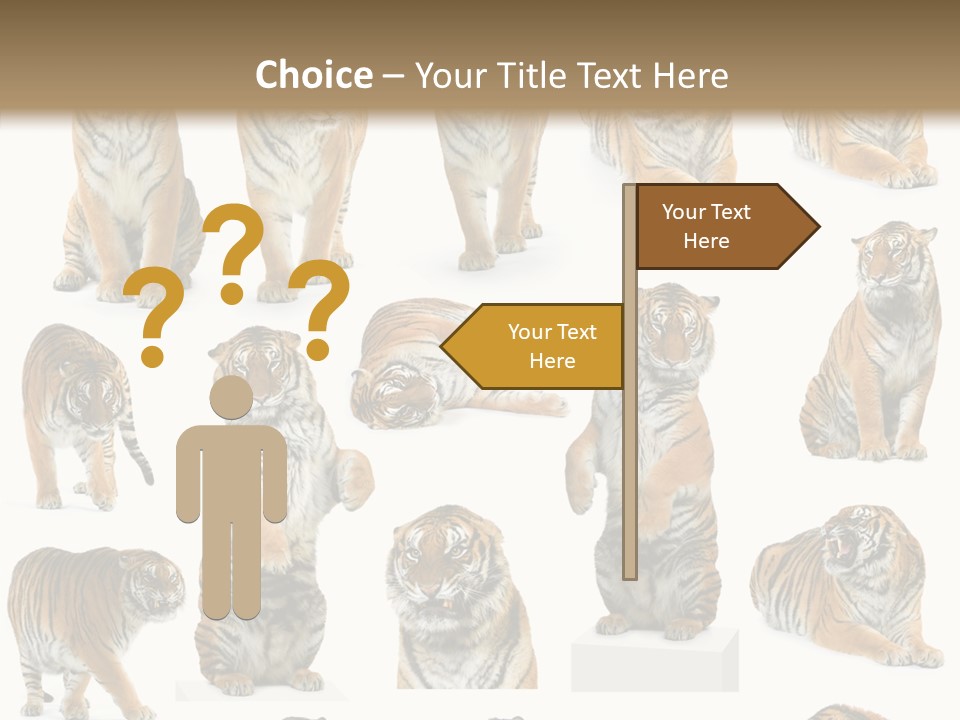 Feline Majestic Tiger PowerPoint Template