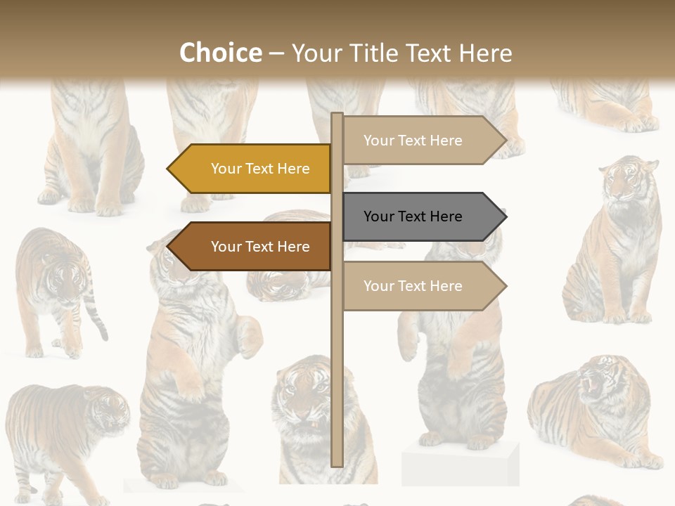 Feline Majestic Tiger PowerPoint Template