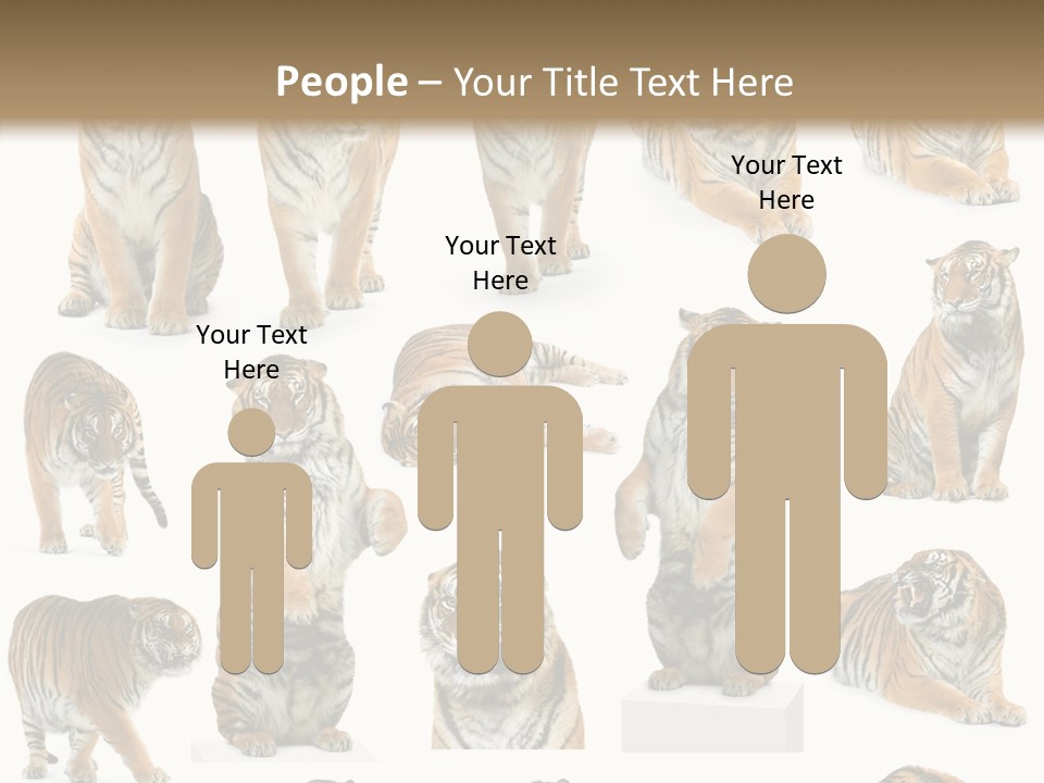 Feline Majestic Tiger PowerPoint Template