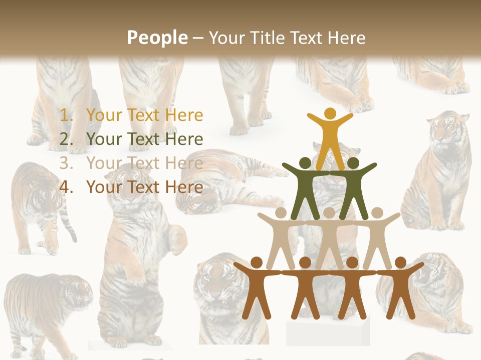 Feline Majestic Tiger PowerPoint Template