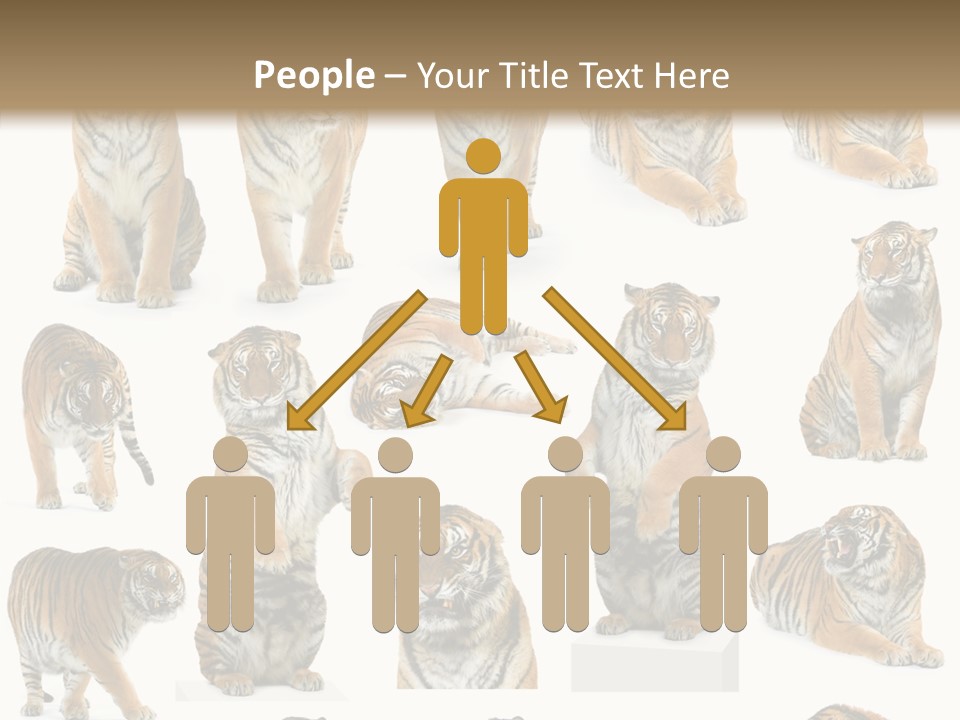 Feline Majestic Tiger PowerPoint Template