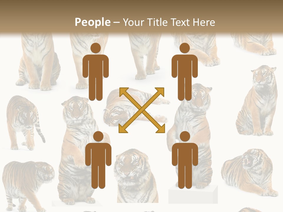 Feline Majestic Tiger PowerPoint Template
