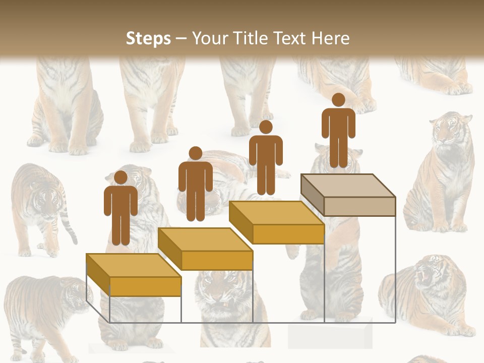 Feline Majestic Tiger PowerPoint Template