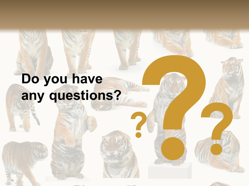 Feline Majestic Tiger PowerPoint Template