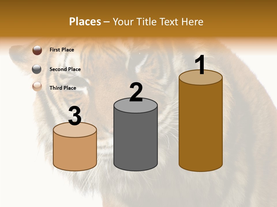 Big Shot Tiger PowerPoint Template
