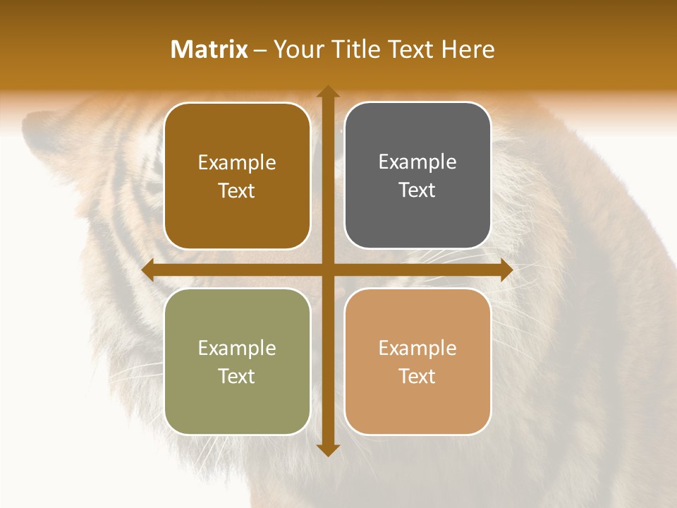 Big Shot Tiger PowerPoint Template