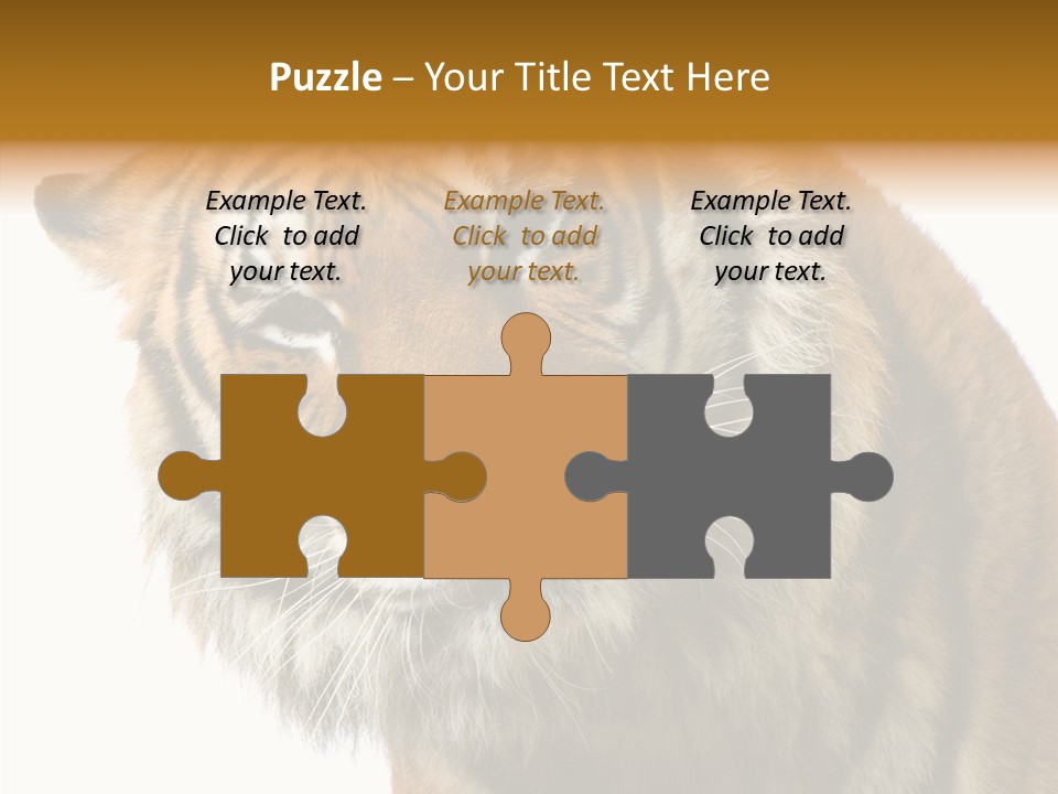 Big Shot Tiger PowerPoint Template